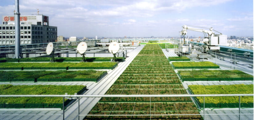 Societal and environmental sustainability