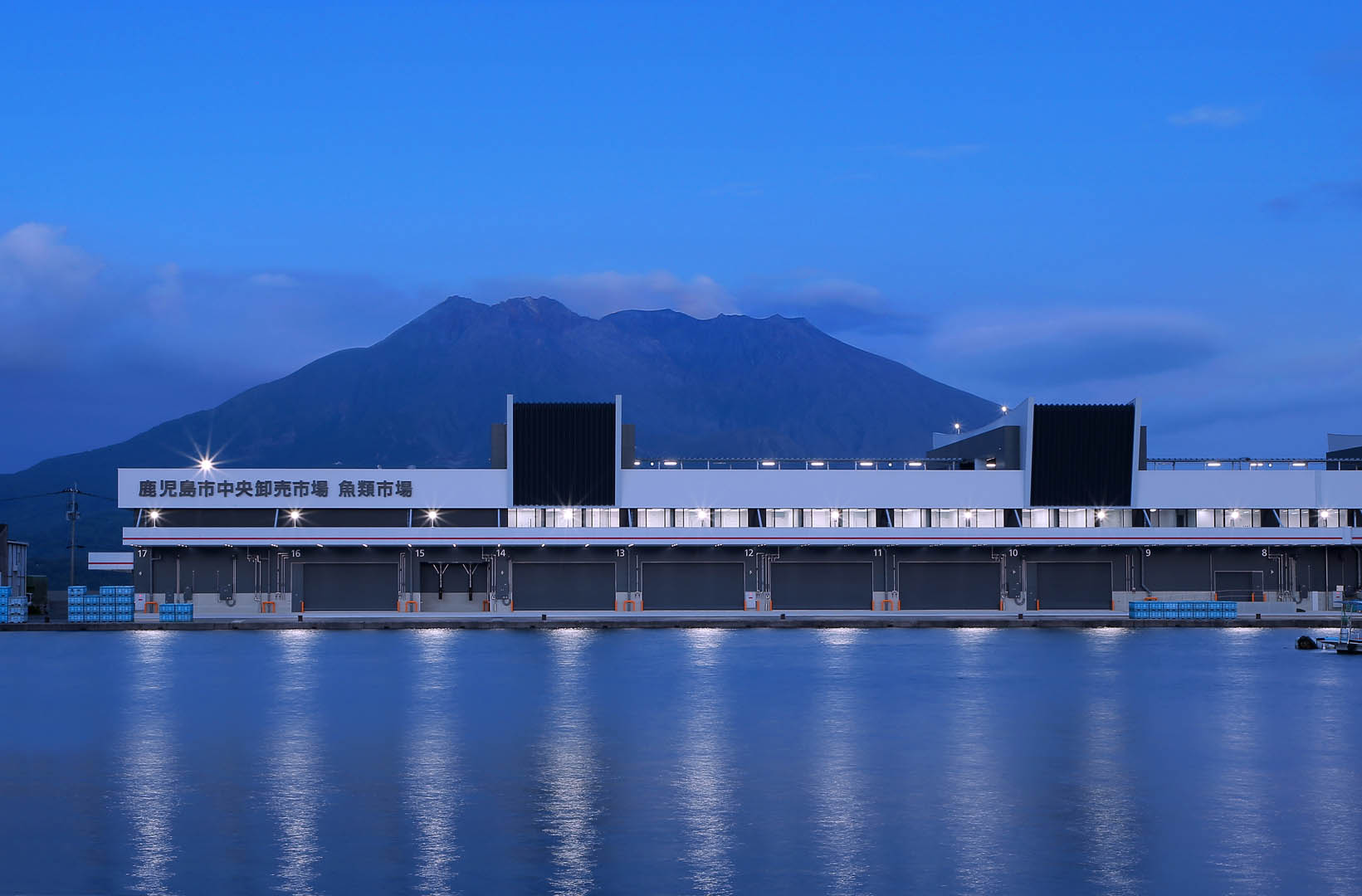 Kagoshima City Fish Market