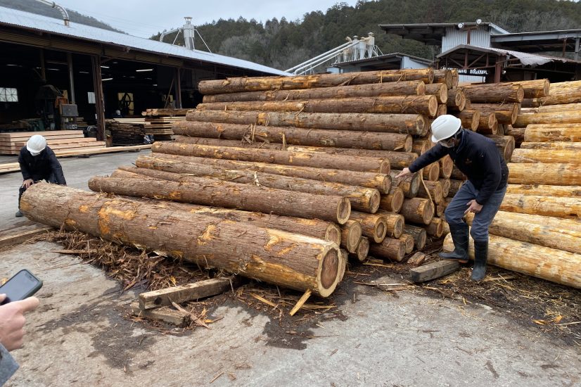 A regenerative perspective 5 — Wood Design —