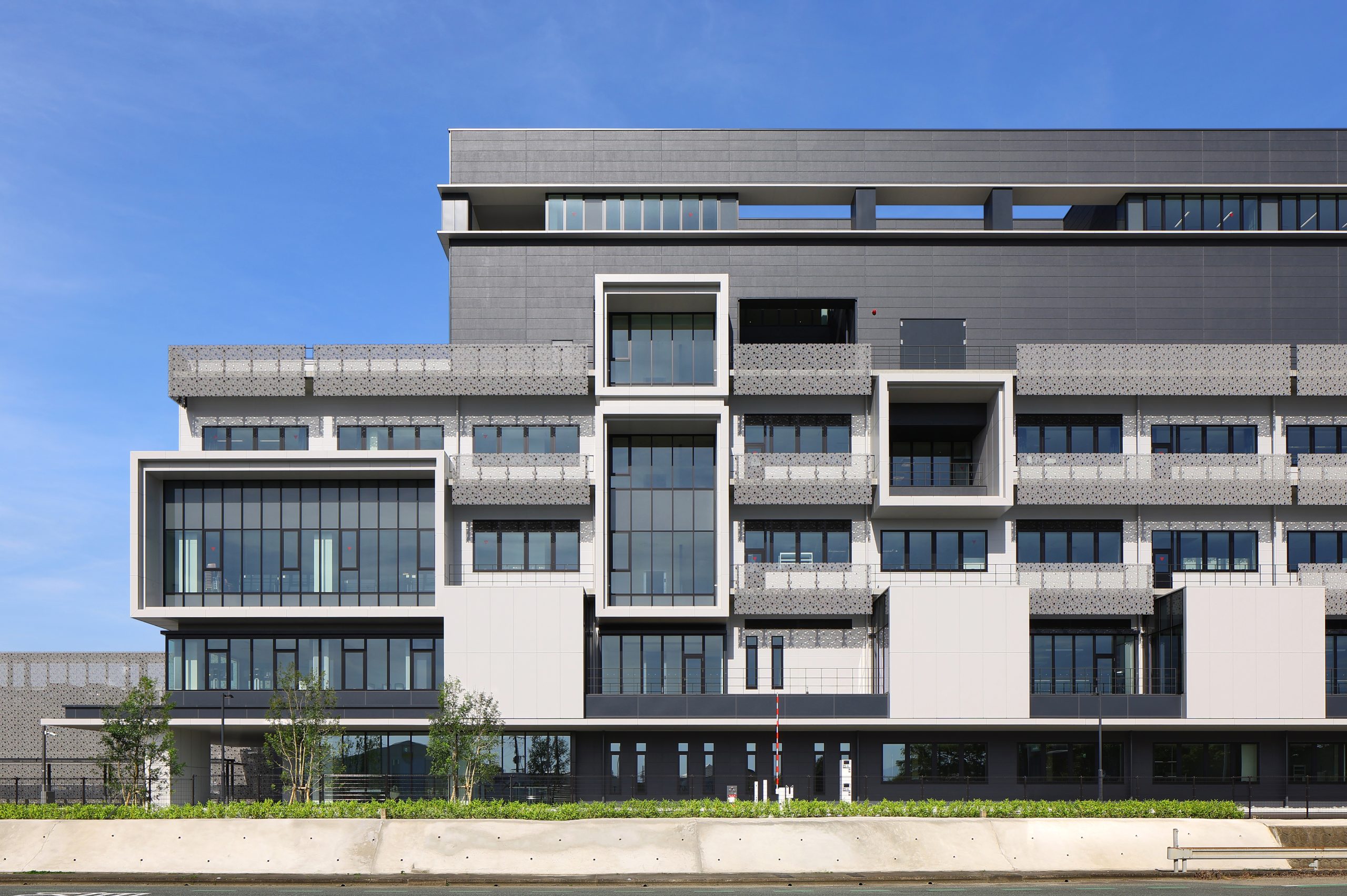 Hisamitsu Pharmaceutical SAGA Global Research Center