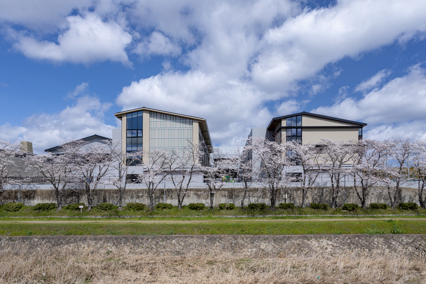 京都市立洛西陵明小中学校